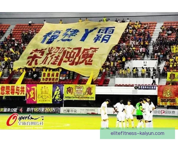 中国队球迷文化现状与发展趋势分析，观赛热情与组织化程度增强